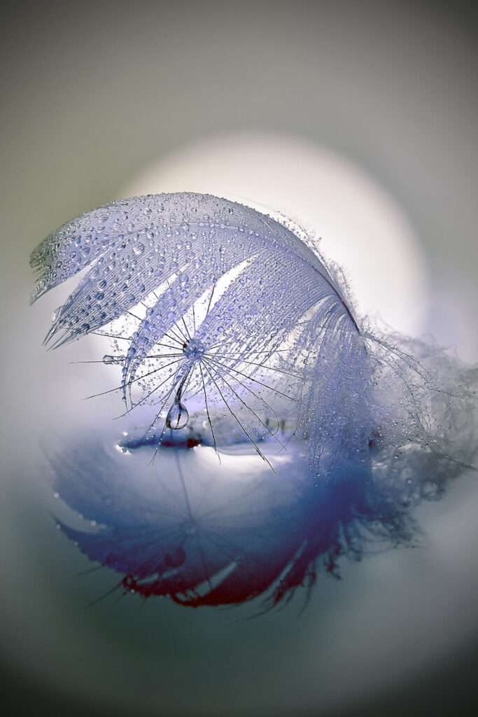 Martine Tiennot – 06