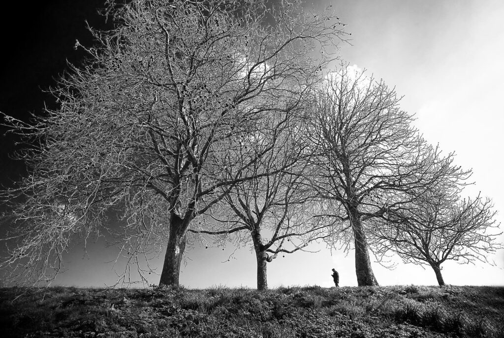Martine Tiennot – 10